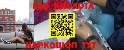 эйфоретик Кимры