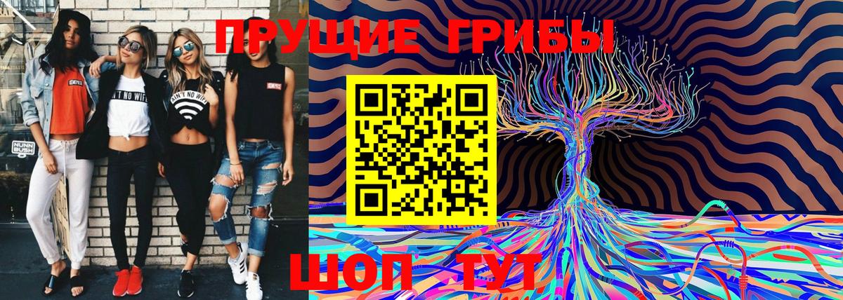 наркота  Галлюциногенные грибы MAGIC MUSHROOMS  Вход с VPN  Красноармейск 